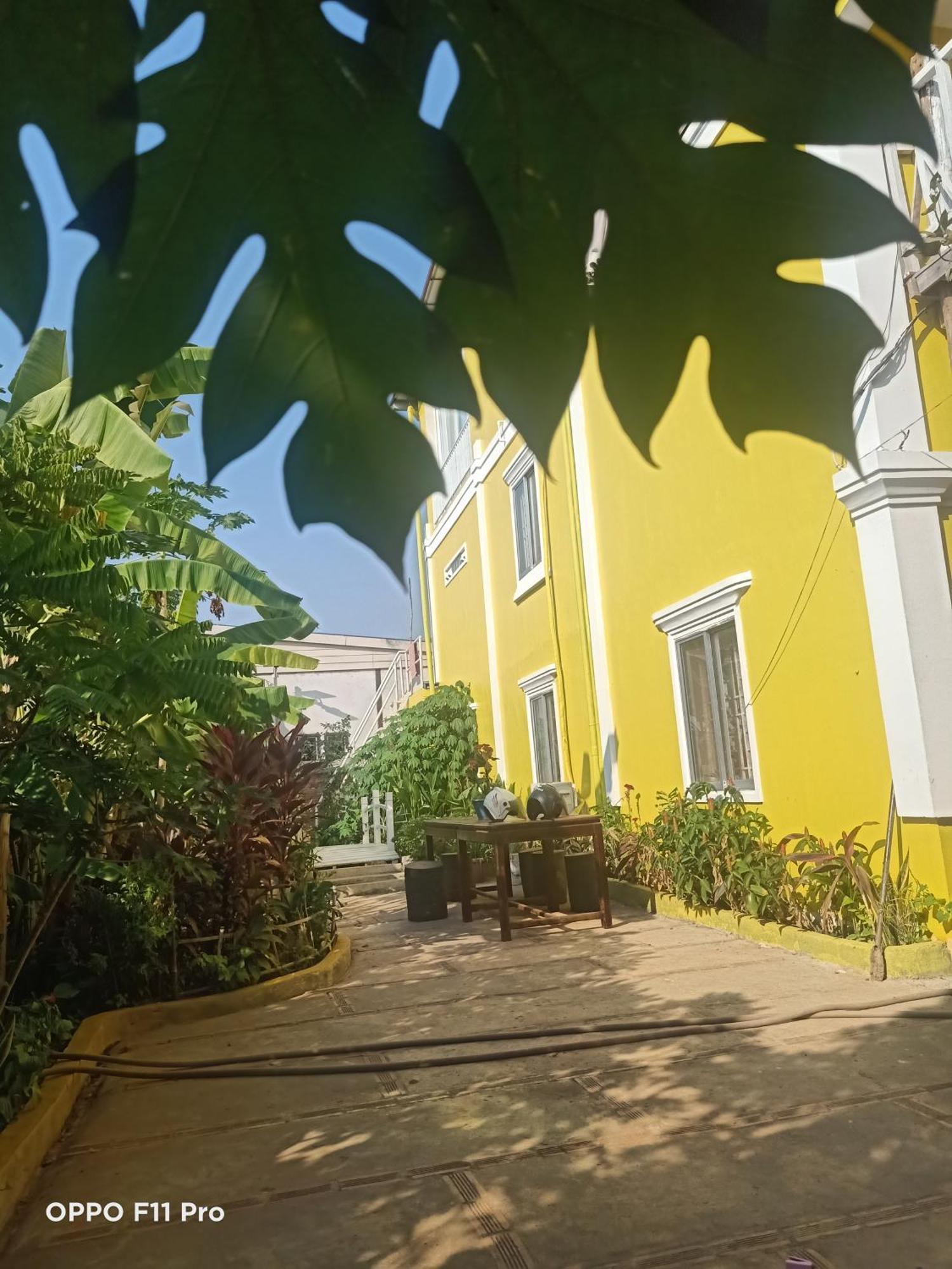 Homestay Yellow Natural House Siem Reap Luaran gambar