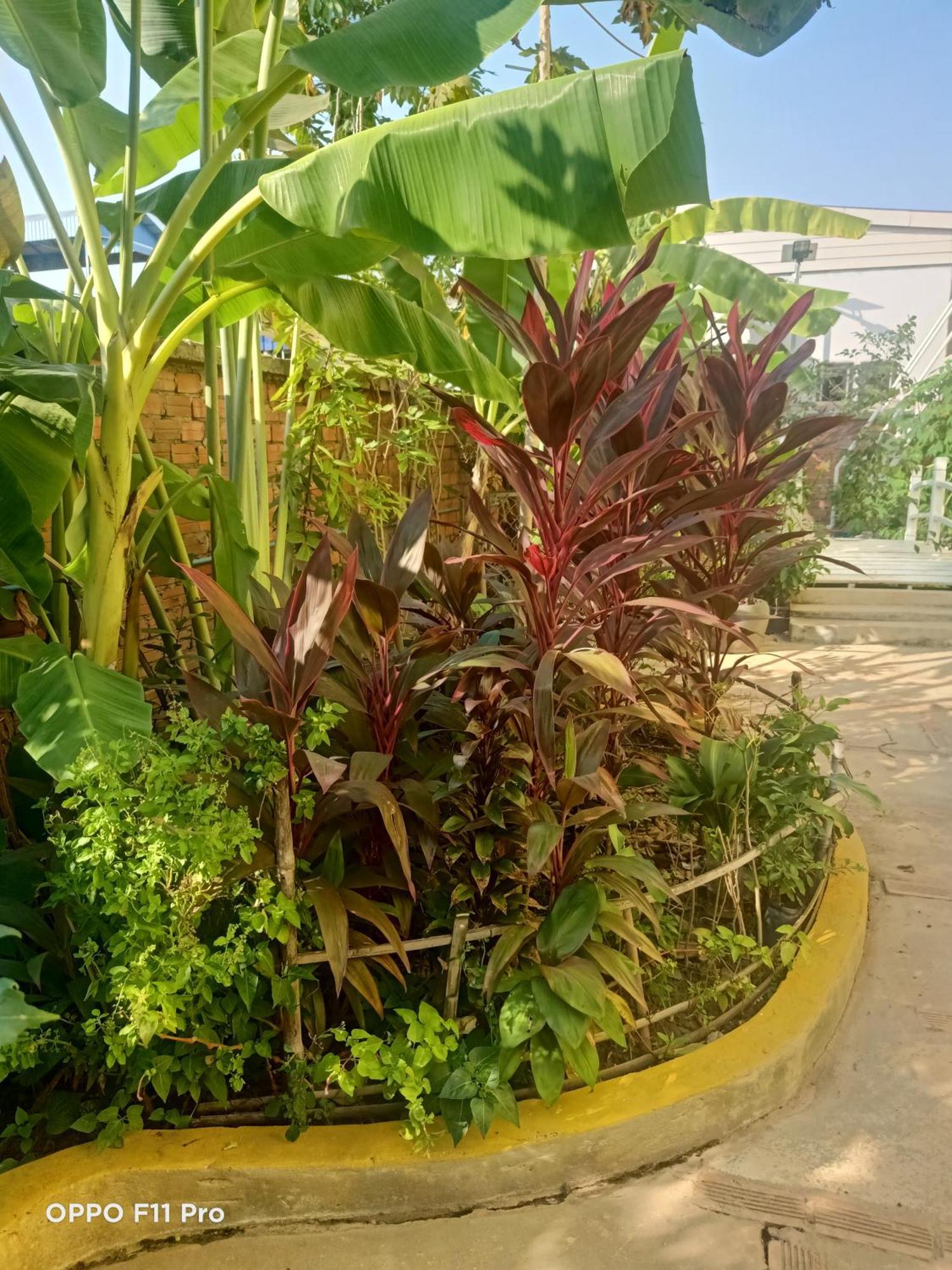 Homestay Yellow Natural House Siem Reap Luaran gambar