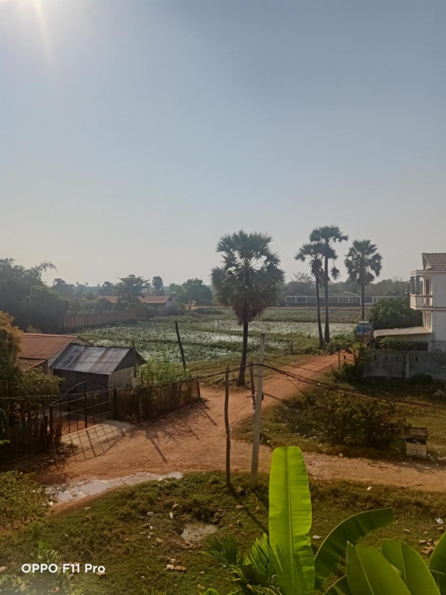 Homestay Yellow Natural House Siem Reap Luaran gambar