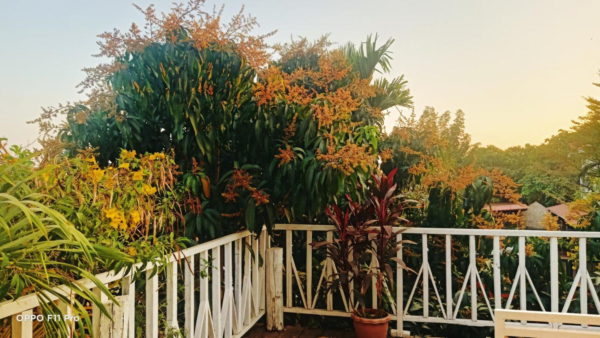 Homestay Yellow Natural House Siem Reap Luaran gambar